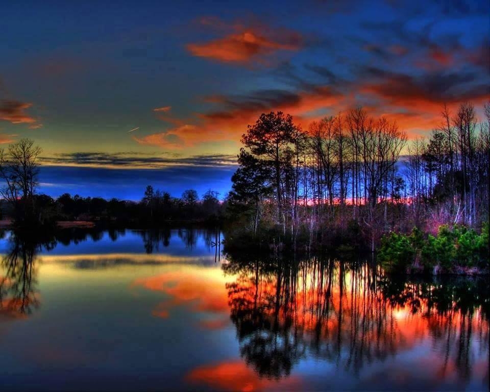 Rate this picture